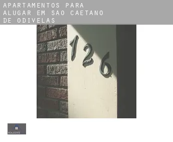 Apartamentos para alugar em  São Caetano de Odivelas