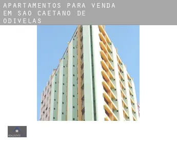 Apartamentos para venda em  São Caetano de Odivelas