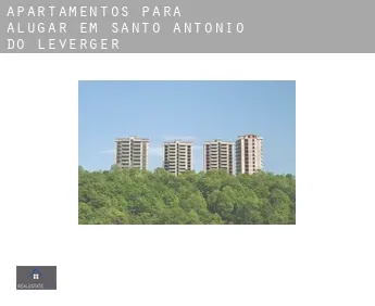 Apartamentos para alugar em  Santo Antônio do Leverger