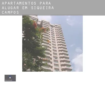 Apartamentos para alugar em  Siqueira Campos