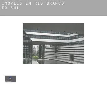 Imóveis em  Rio Branco do Sul