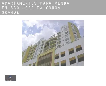 Apartamentos para venda em  São José da Coroa Grande