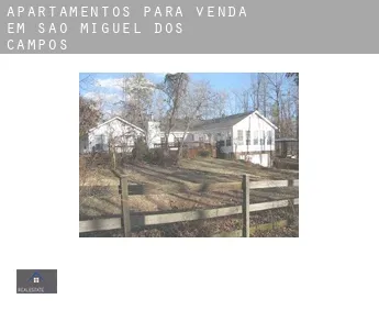 Apartamentos para venda em  São Miguel dos Campos