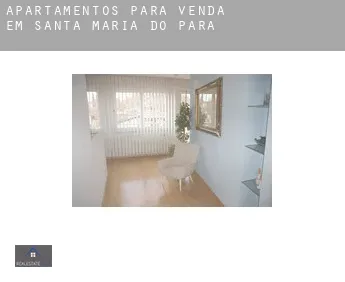 Apartamentos para venda em  Santa Maria do Pará