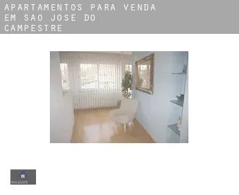 Apartamentos para venda em  São José do Campestre