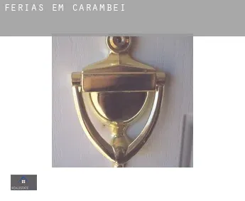 Férias em  Carambeí