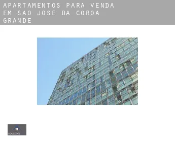 Apartamentos para venda em  São José da Coroa Grande