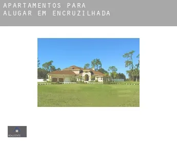 Apartamentos para alugar em  Encruzilhada