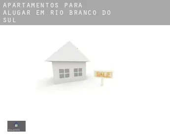 Apartamentos para alugar em  Rio Branco do Sul