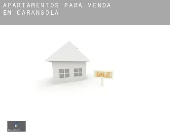 Apartamentos para venda em  Carangola