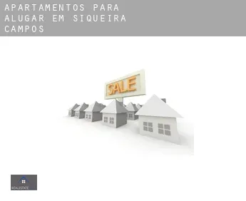 Apartamentos para alugar em  Siqueira Campos