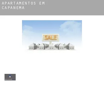Apartamentos em  Capanema