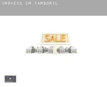 Imóveis em  Tamboril