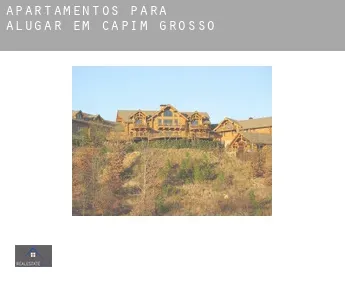 Apartamentos para alugar em  Capim Grosso