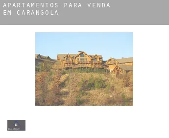 Apartamentos para venda em  Carangola