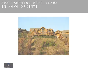 Apartamentos para venda em  Novo Oriente