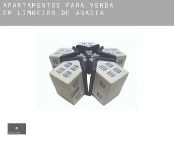 Apartamentos para venda em  Limoeiro de Anadia