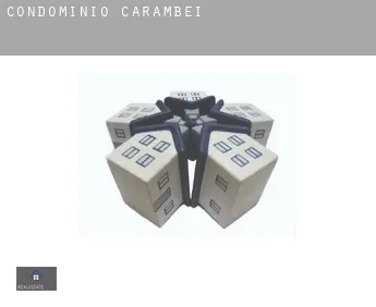 Condomínio  Carambeí