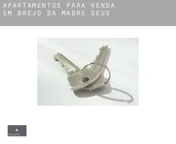 Apartamentos para venda em  Brejo da Madre de Deus