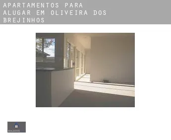 Apartamentos para alugar em  Oliveira dos Brejinhos