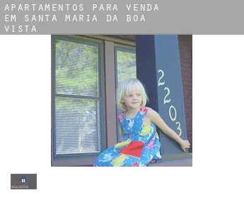 Apartamentos para venda em  Santa Maria da Boa Vista