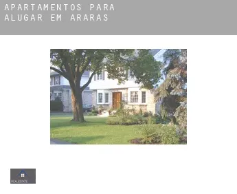 Apartamentos para alugar em  Araras