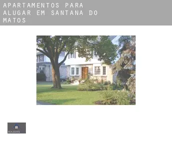Apartamentos para alugar em  Santana do Matos