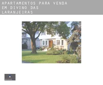 Apartamentos para venda em  Divino das Laranjeiras