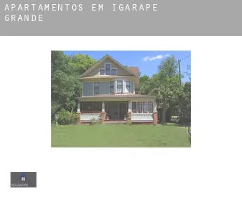Apartamentos em Igarapé Grande