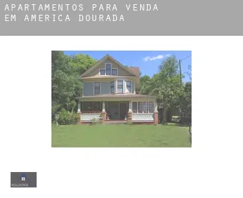 Apartamentos para venda em  América Dourada