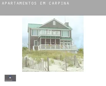 Apartamentos em  Carpina