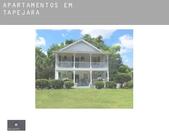 Apartamentos em  Tapejara