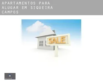 Apartamentos para alugar em  Siqueira Campos