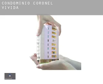 Condomínio  Coronel Vivida