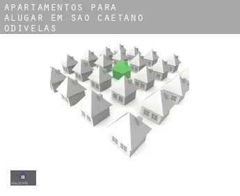 Apartamentos para alugar em  São Caetano de Odivelas