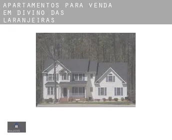 Apartamentos para venda em  Divino das Laranjeiras