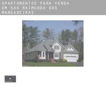 Apartamentos para venda em  São Raimundo das Mangabeiras