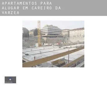 Apartamentos para alugar em  Careiro da Várzea