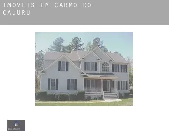 Imóveis em  Carmo do Cajuru