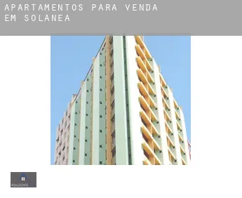 Apartamentos para venda em  Solânea